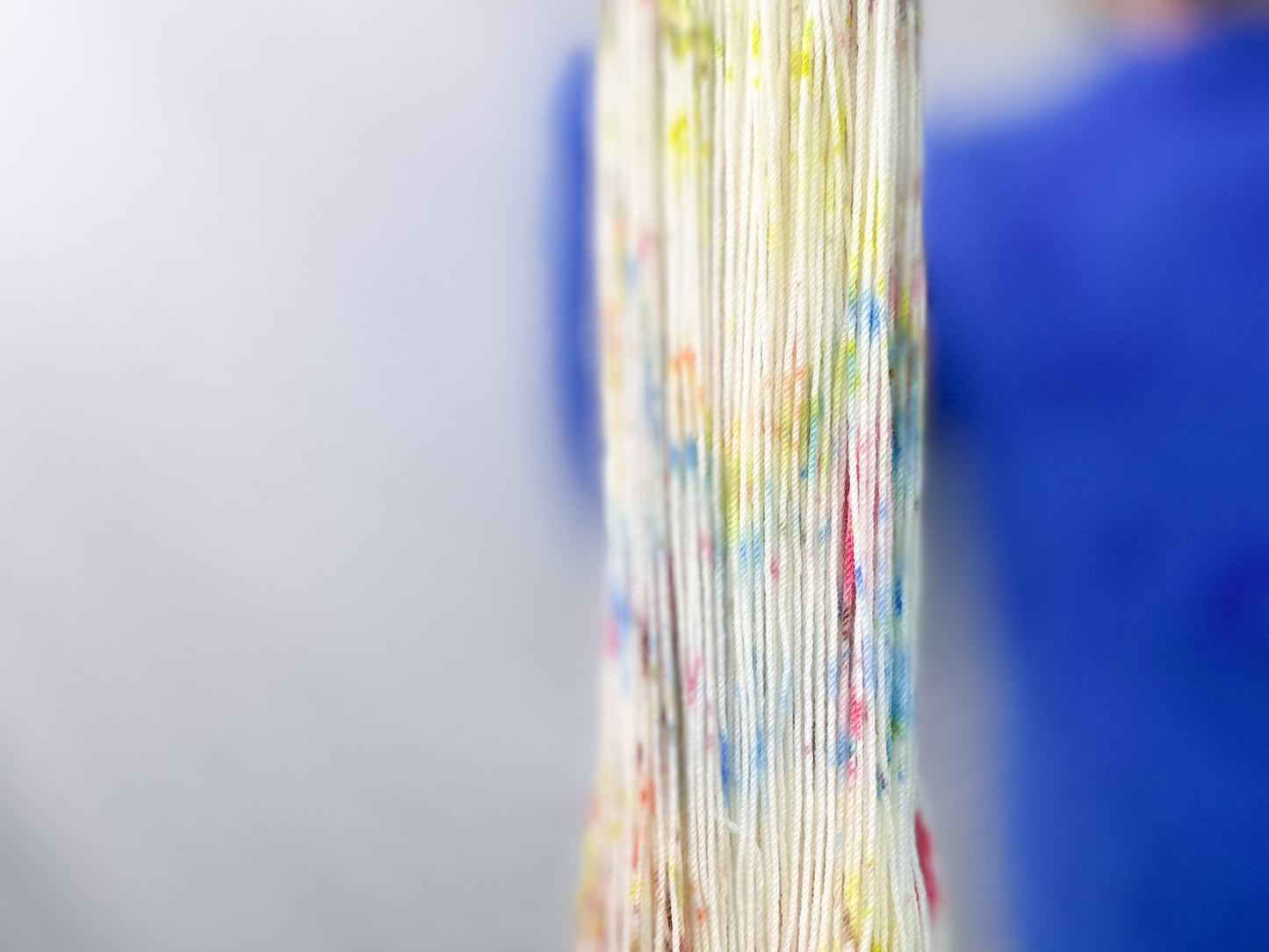 Peter Rabbit Christmas! Colourway by Muffs Merino