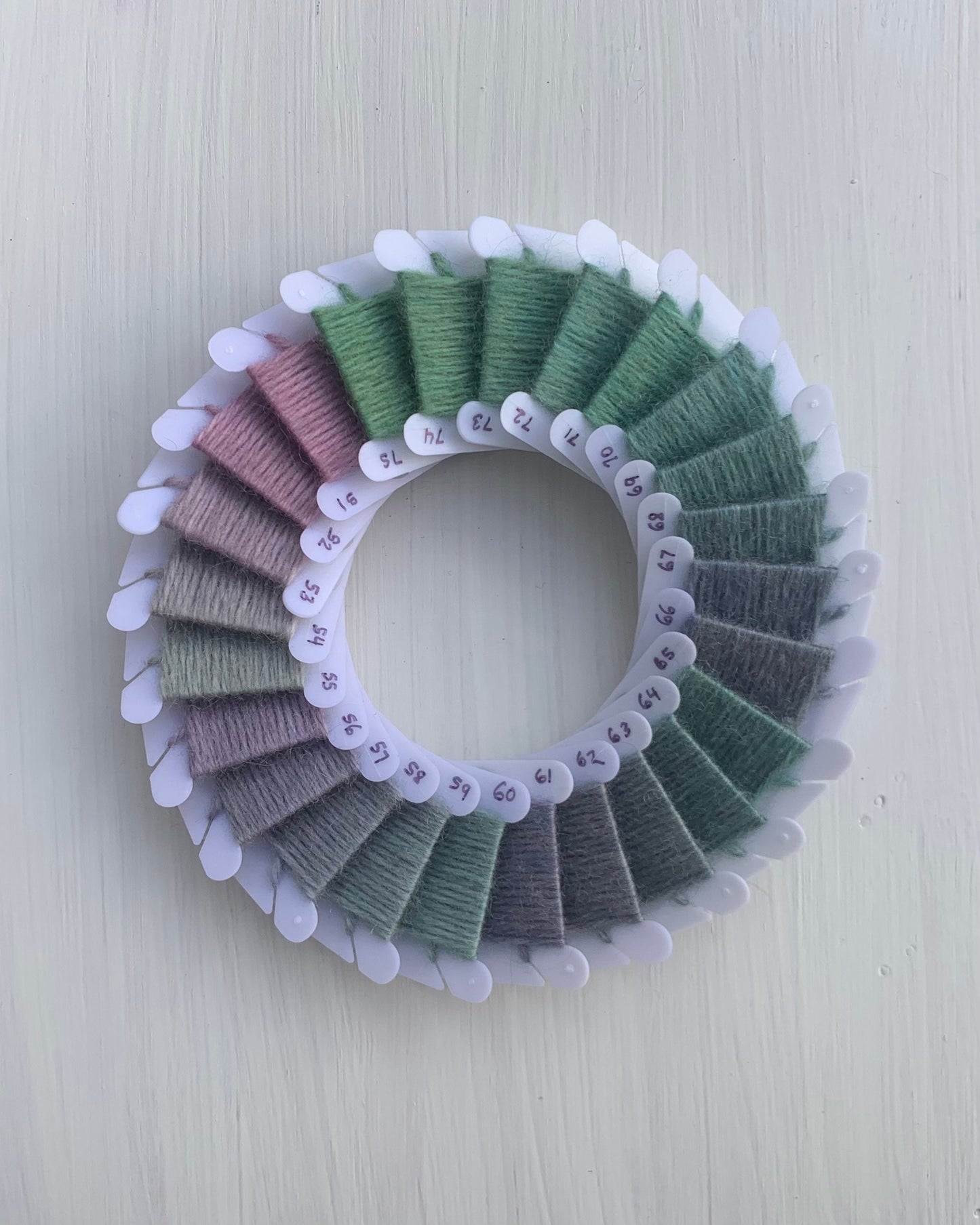 Dharma Primary Shades Collection