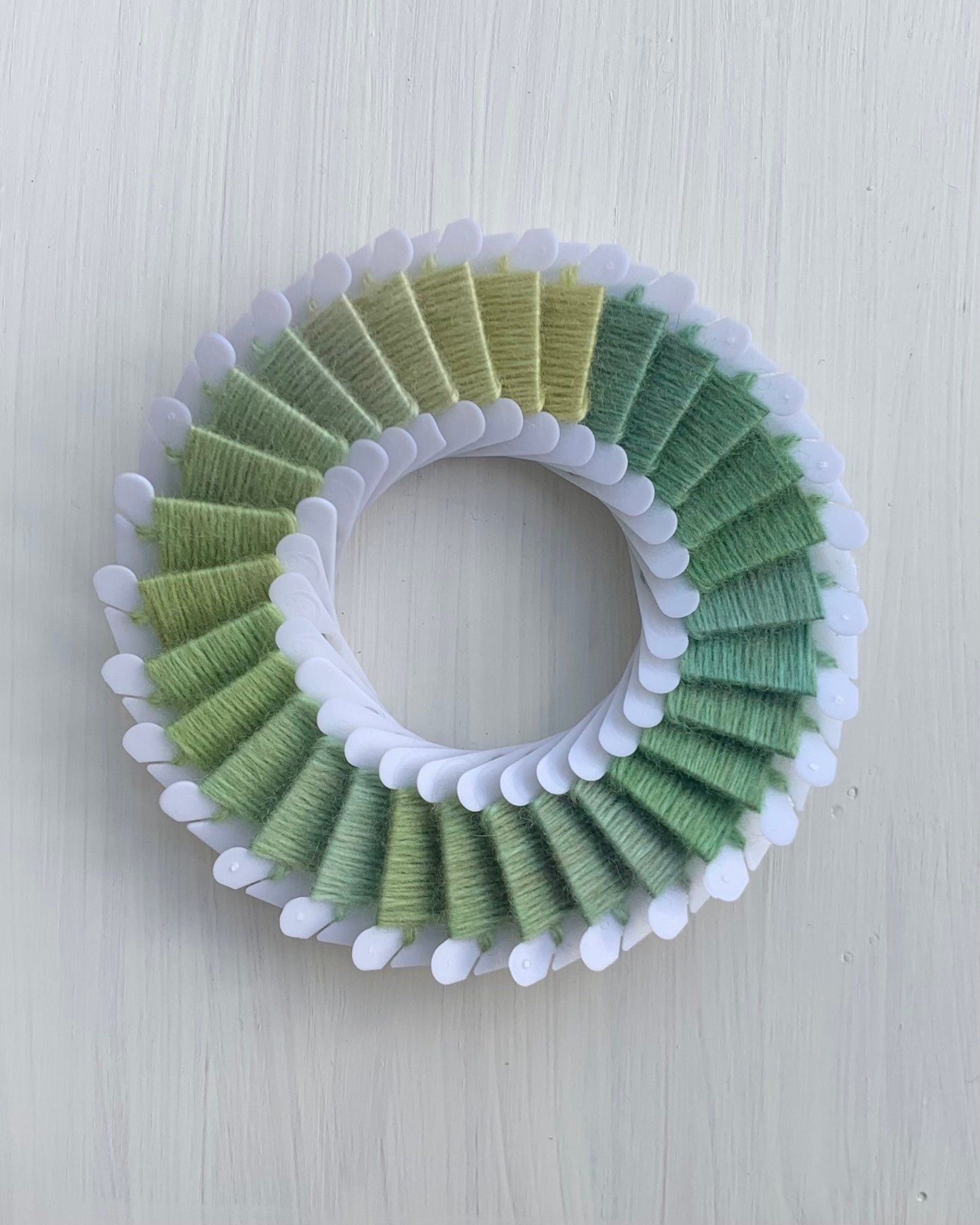 Dharma Primary Shades Collection