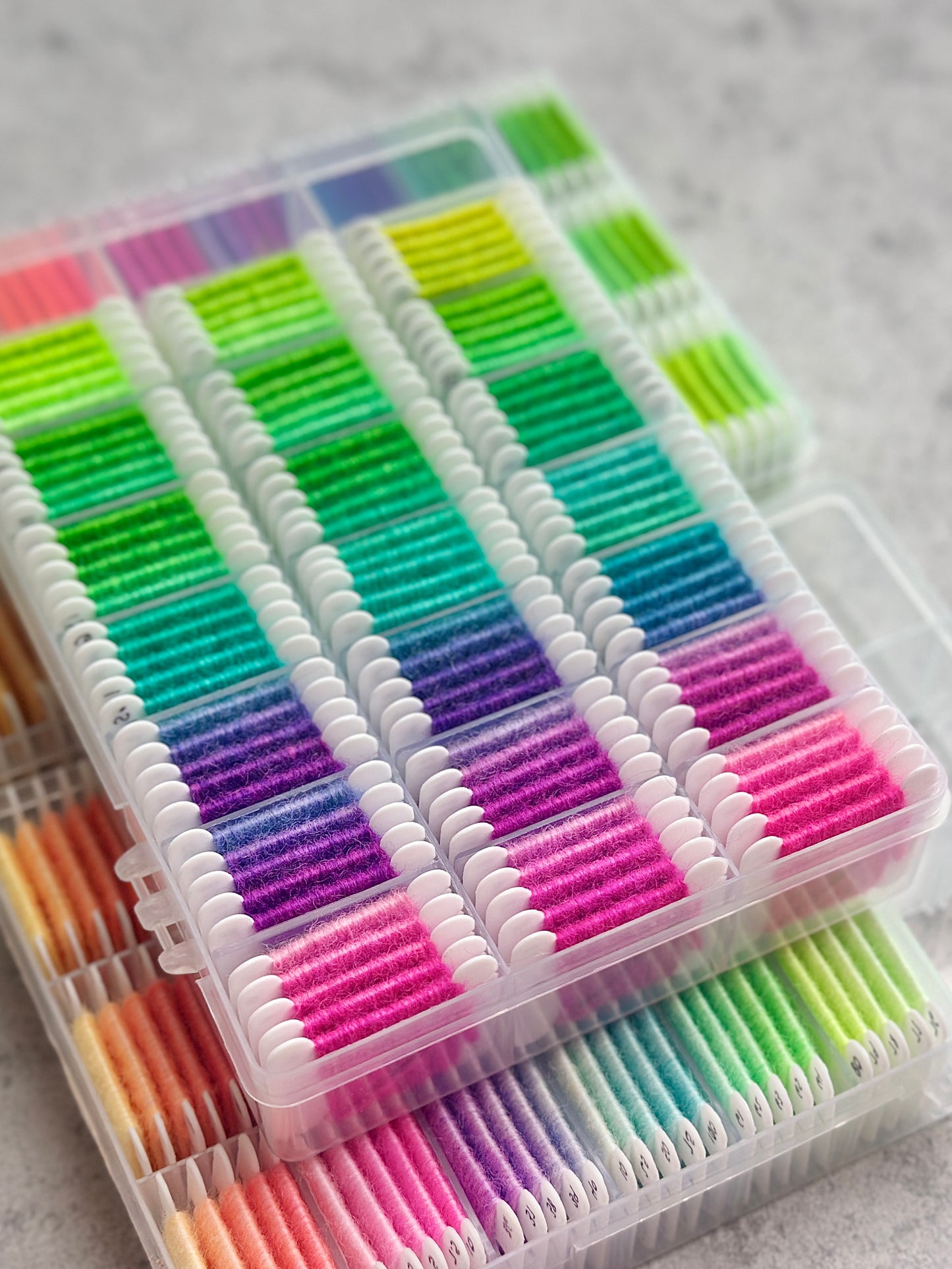 Dharma Primary Neons Collection