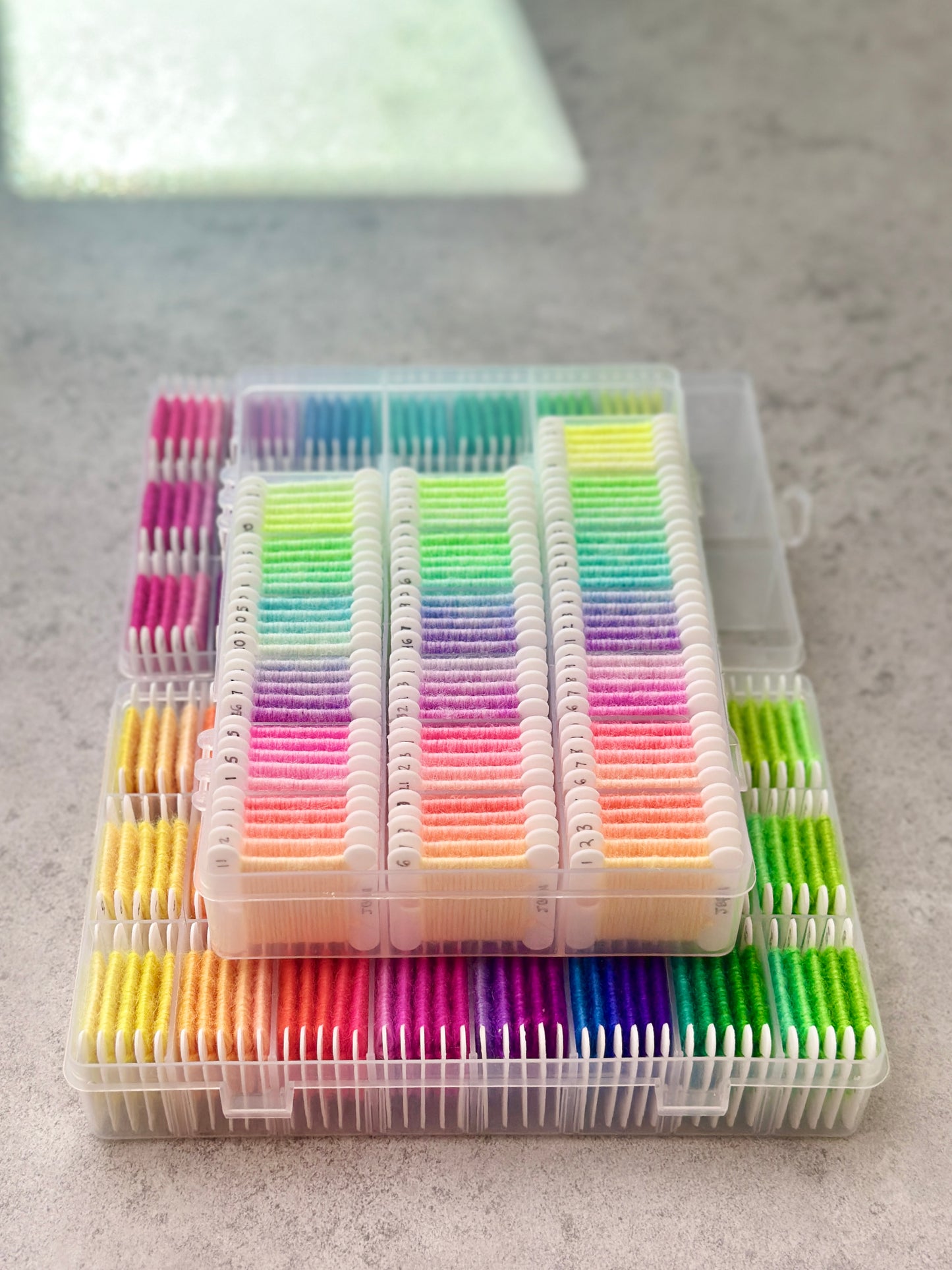 Dharma Primary Neons Collection