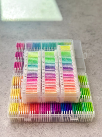 Dharma Primary Neons Collection