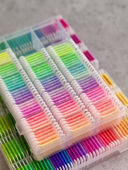 Dharma Primary Neons Collection