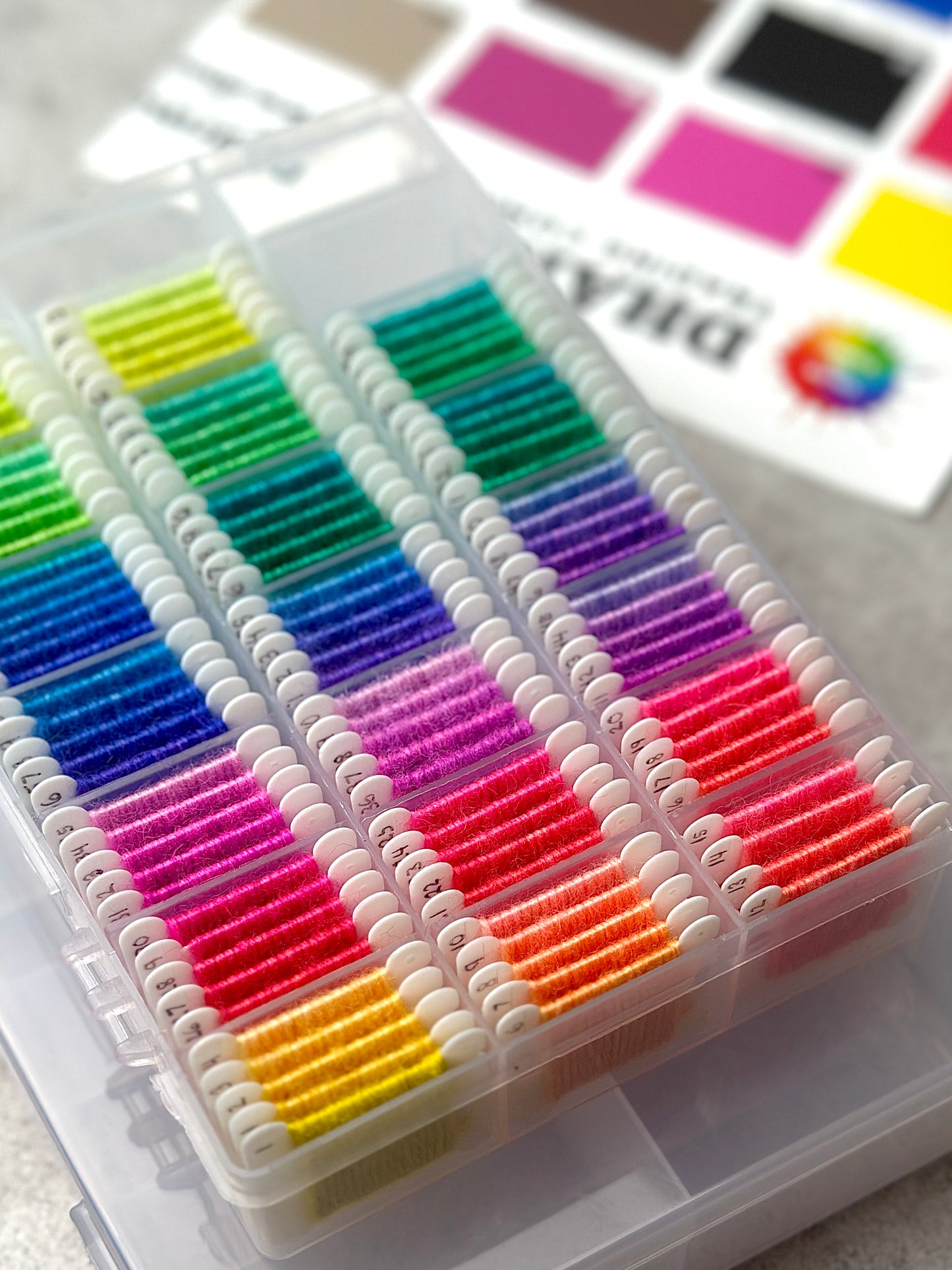 Dharma Primary Brights Dye Recipe Collection