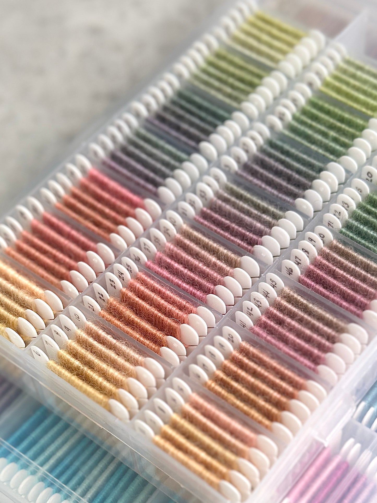 Dharma Primary Shades Collection