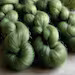 Moss Green Yarn Dyeing Recipe - 8 Shade Palette - Dharma Acid Dye - 1% Solution - Learn to Hand Dye Wool, Silk for Pro and Beginner Dyers