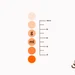 Dye Calculation Chart: 1% DOS, Wool Yarn Dyeing Guide (Digital PDF)