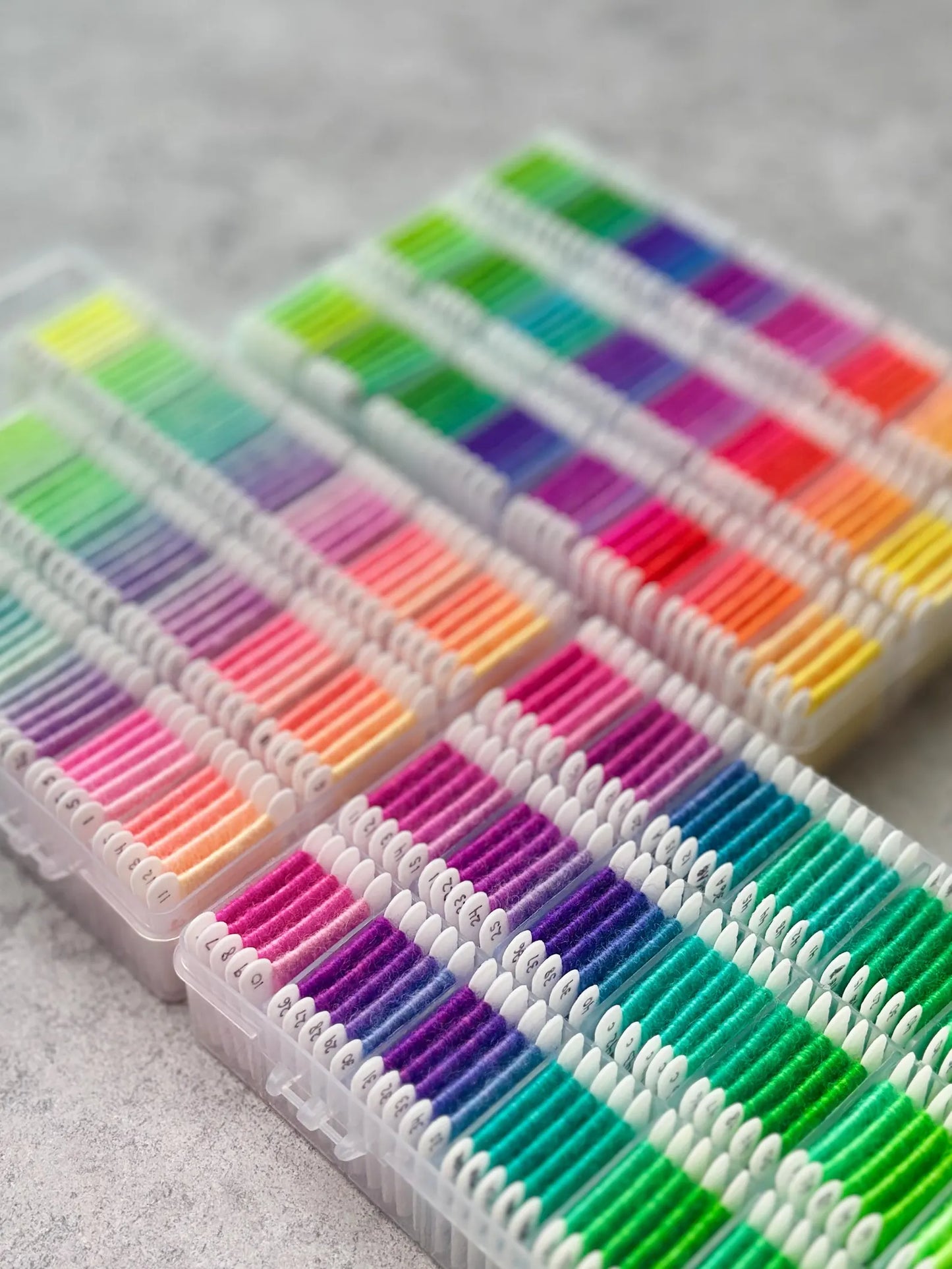 Dharma Primary Neons Collection
